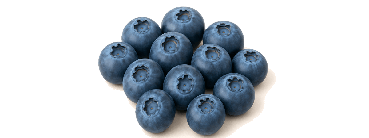 Blueberries, raw