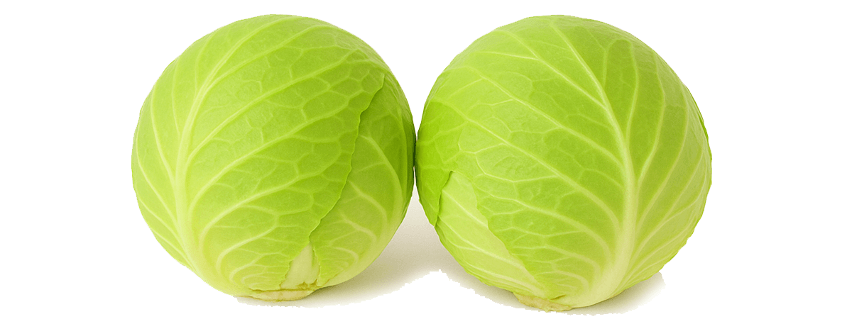 Cabbage, green, raw