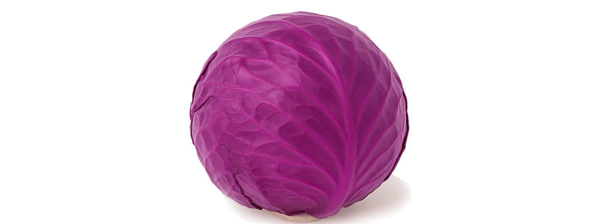 Cabbage, red, raw