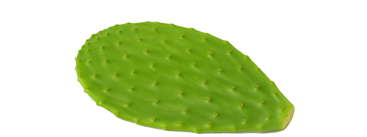 Cactus, raw