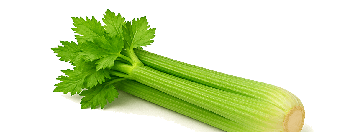 Celery, raw
