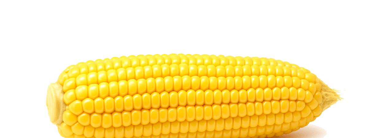 Corn, raw